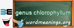 WordMeaning blackboard for genus chlorophyllum